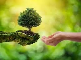 Environmental Solutions
