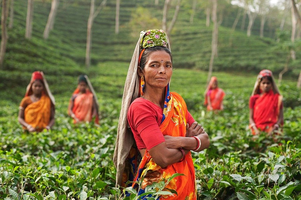 Rural Development Solutions